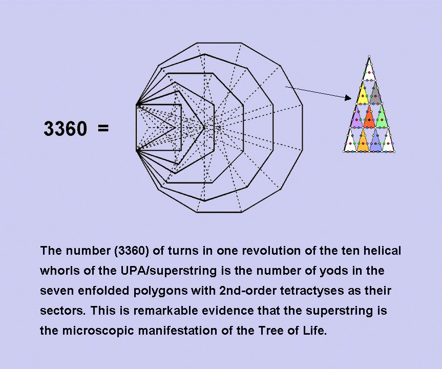 Inner Tree of Life has 3360 yods