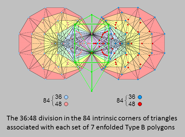 36:48 division of 84 intrinsic corners associated with 7 enfolded Type B polygons