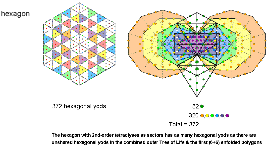 372 hexagonal yods in hexagon & in combined Tree of Life & 1st (6+6) enfolded polygons