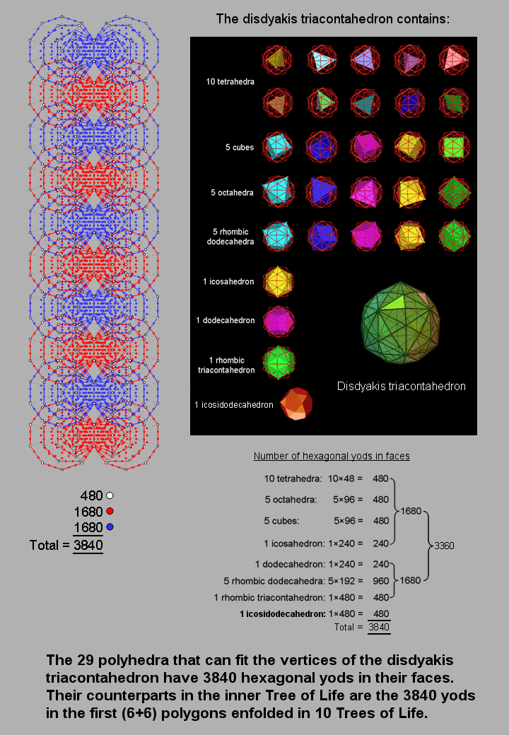 3840 embodied in 29 polyhedra and in first (6+6) polygons enfolded in 10 Trees of Life