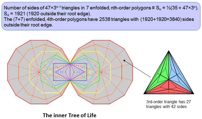 3840 sides outside root edge of (7+7) enfolded, 4th-order polygons