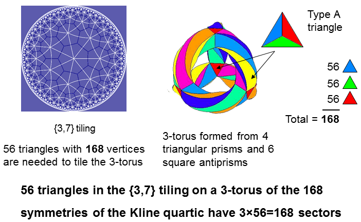 3x56 sectors of 56 triangles in 3-torus