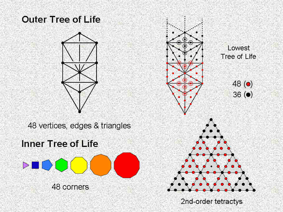 48 as a parameter of holistic systems