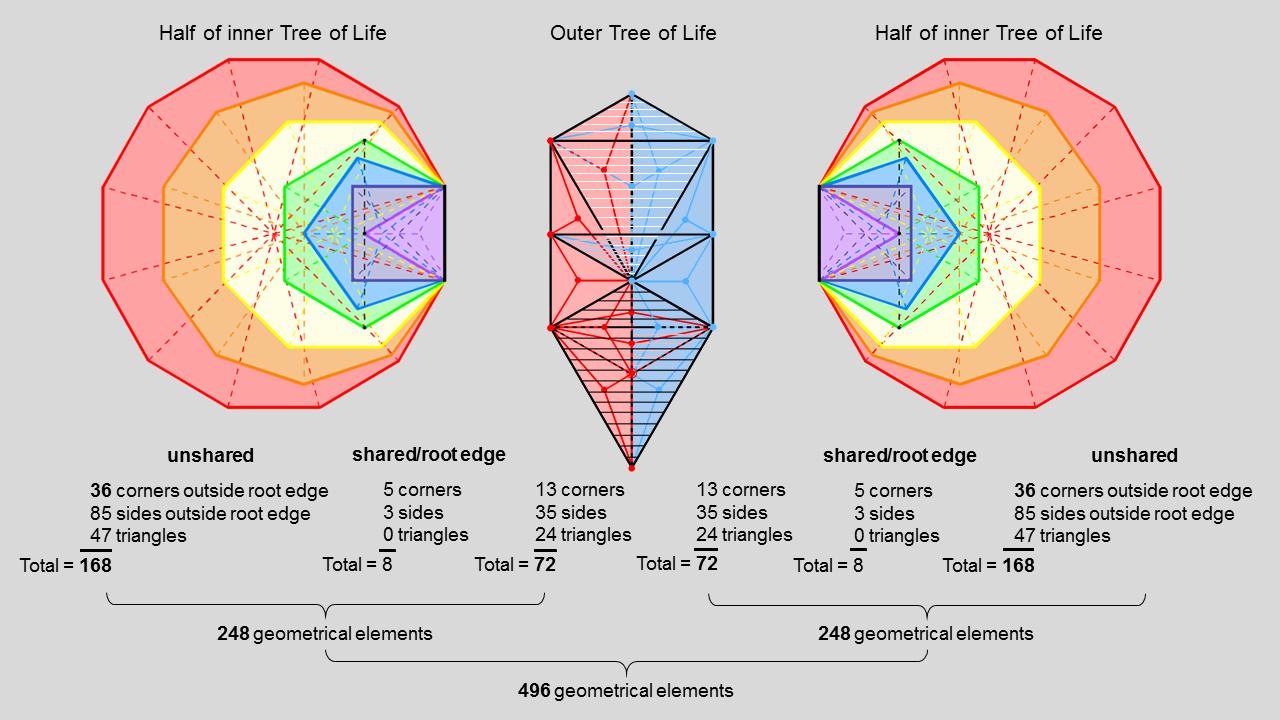 496 geometrial elements in outer & inner Trees of Life