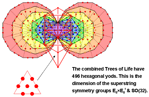496 hexagonal yods in the combined Trees ofLife