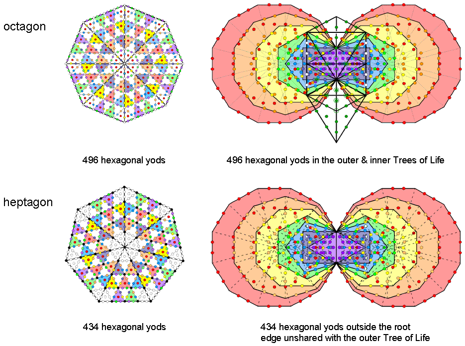 The heptagon & octagon as the counterparts of the inner and combined Trees of Life