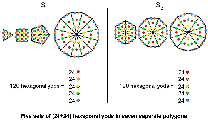 Five sets of (24+24) hexagonal yods in 7 separate polygons