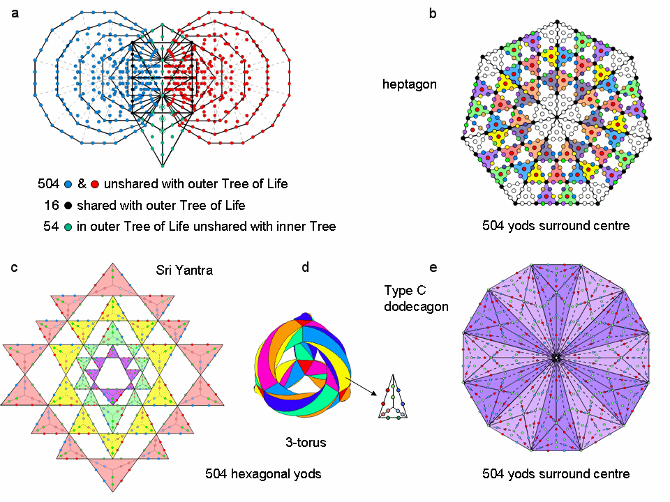 504 yods in inner TOL, Sri Yantra, heptagon, 3-torus & Type C dodecagon