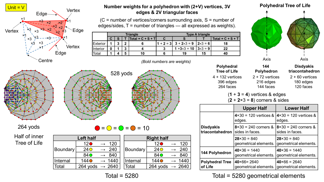 Polyhedral and polygonal Trees of Life compared