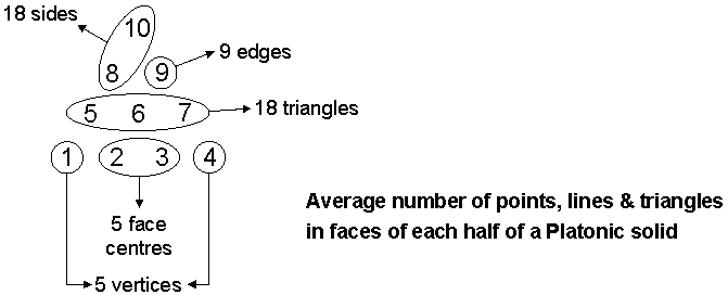 55 geometrical elements on average in half a Platonic solid