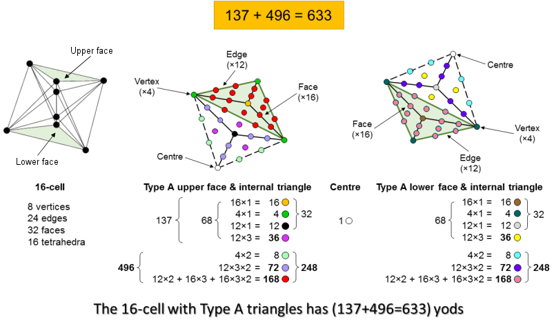 yod population of 16-cell is sum of 137 and 496