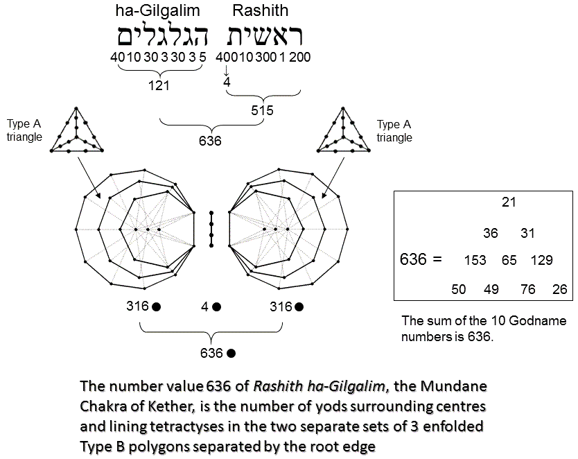 636 embodied in (3+3) separate Type B polygons and root edge