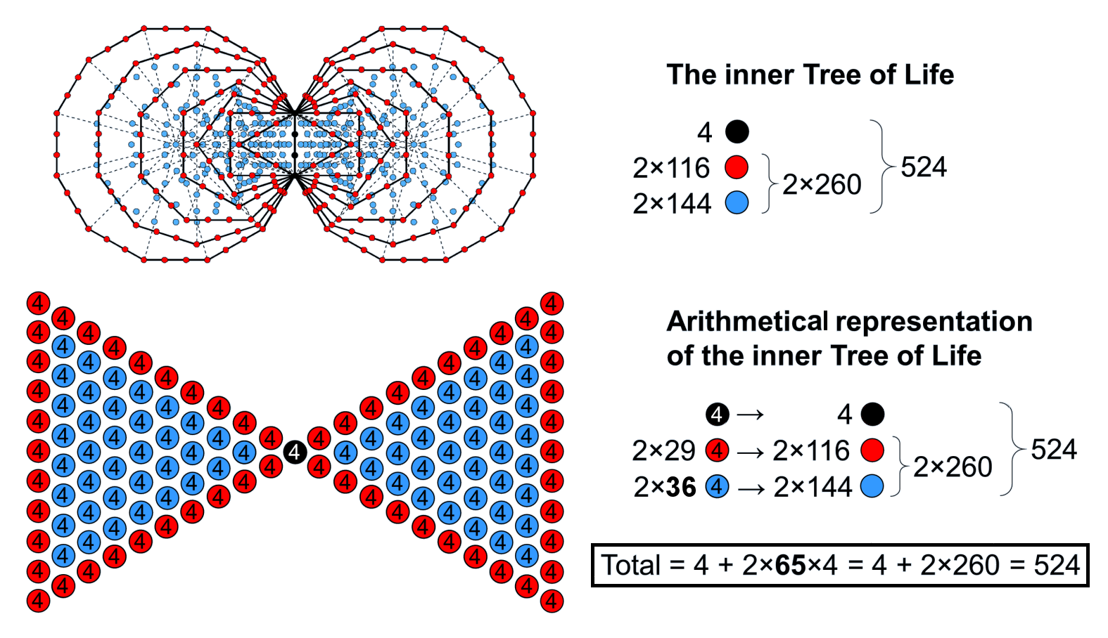 Arithmetic counterpart of the inner Tree of Life
