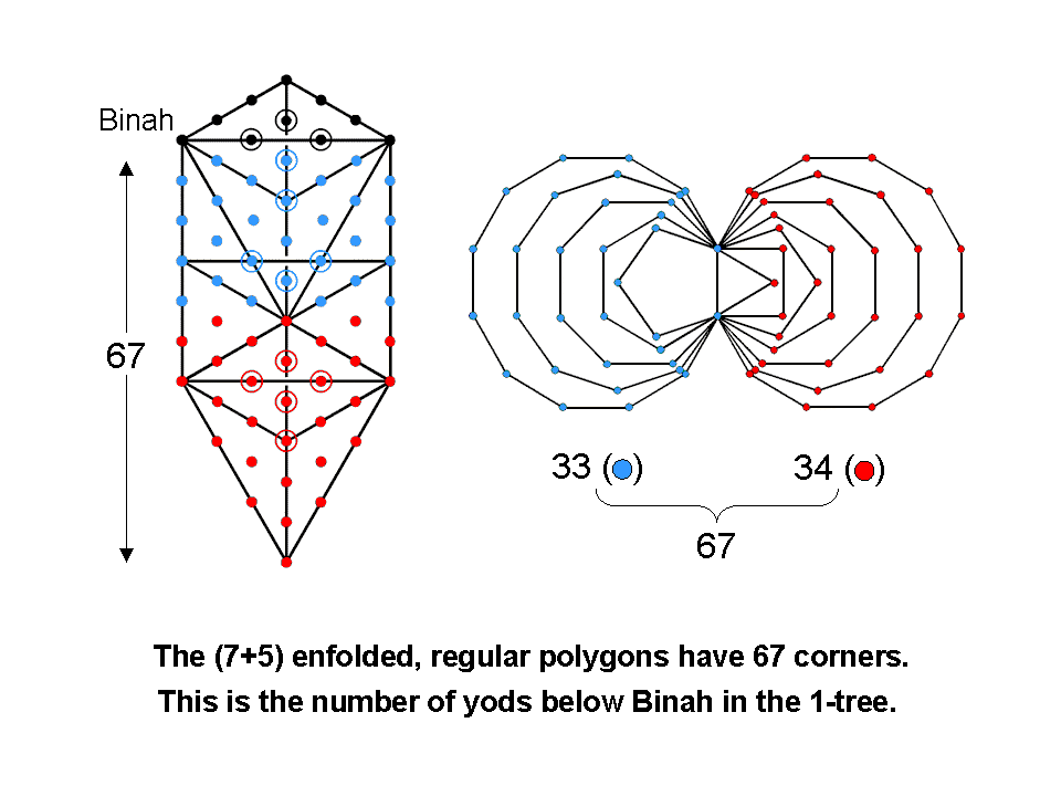 12 enfolded polygons encoding CTOL have 67 corners