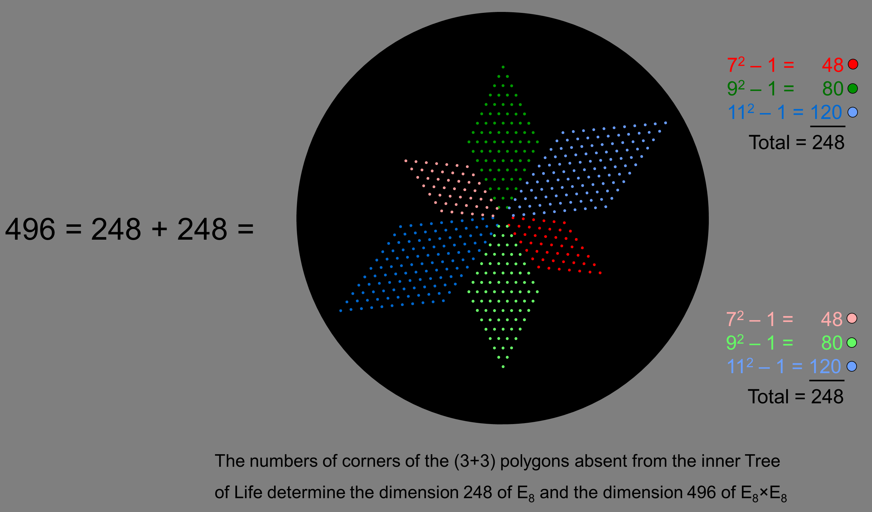 Three absent polygons generate the numbers 248 & 496