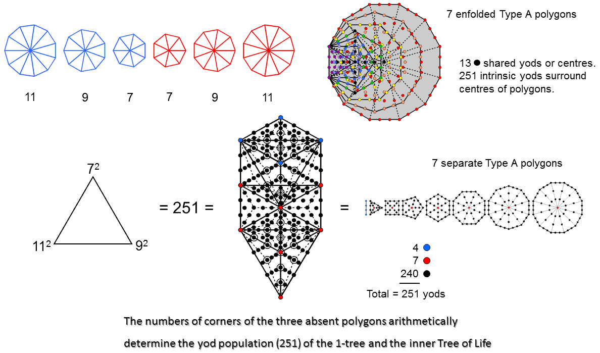 7, 9 & 11 determine yod populations of 1-tree & 7 Type A polygons