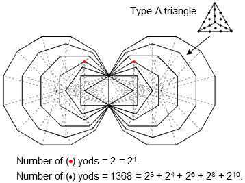 (7+7) enfolded Type B polygons