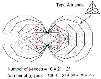 (7+7) enfolded Type B polygons