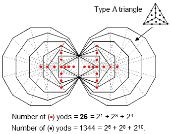 (7+7) enfolded Type B polygons