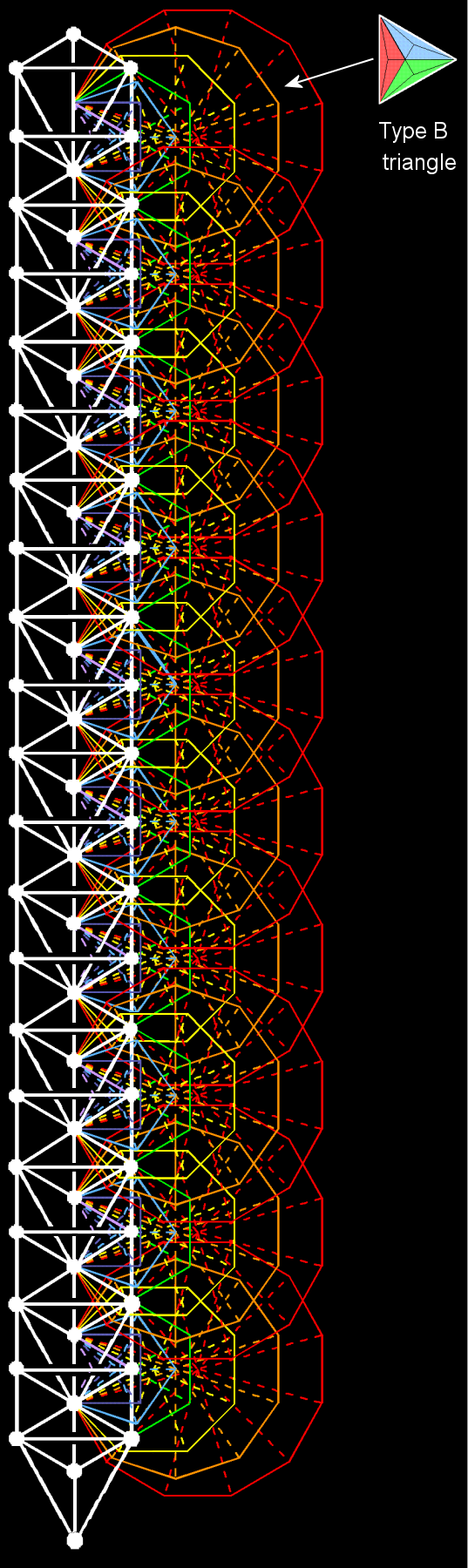 70 Type C polygons enfolded in 10 Trees of Life