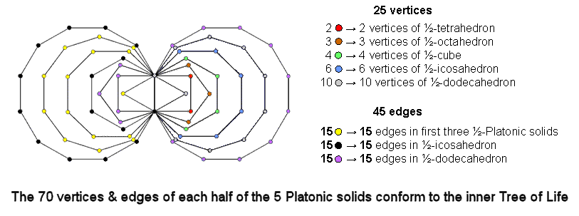 Inner Tree of Life nature of 5 Platonic solids