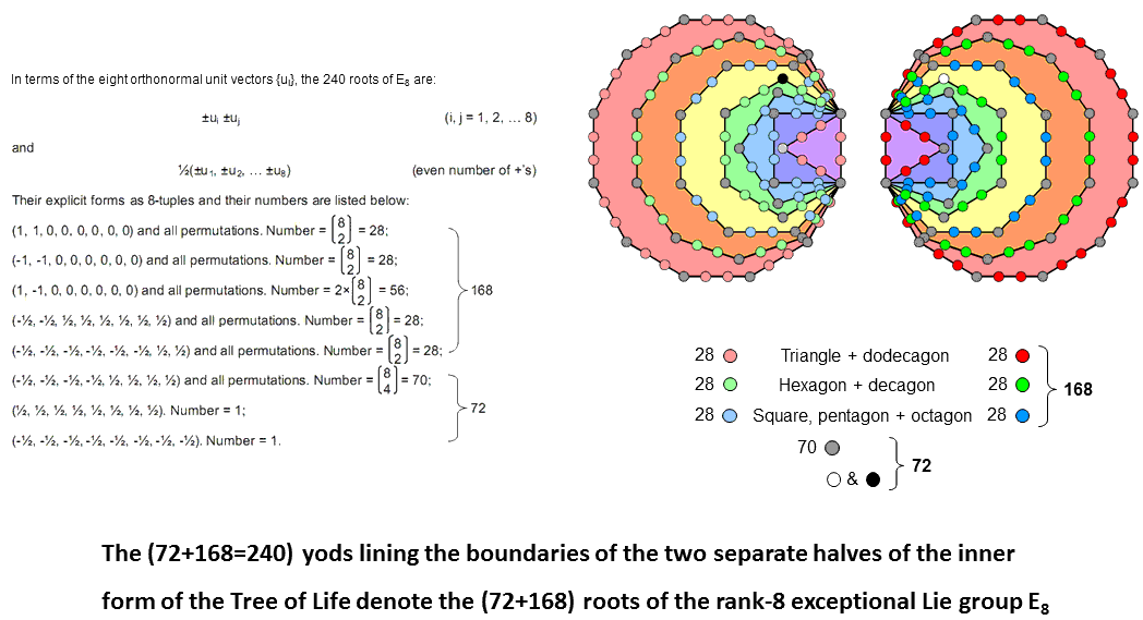 2x84 and 3x56 patterns in two separate sets of 7 enfolded polygons