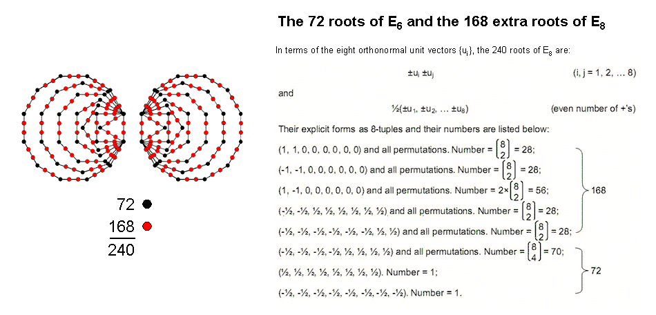 (72+168) boundary yods of (7+7) polygons as roots of E8
