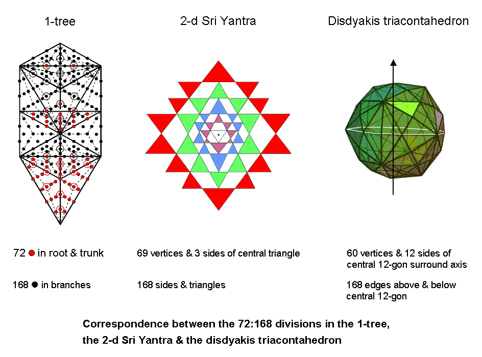 (72+168) division in 1-tree, 2-d Sri Yantra & disdyakis triacontahedron