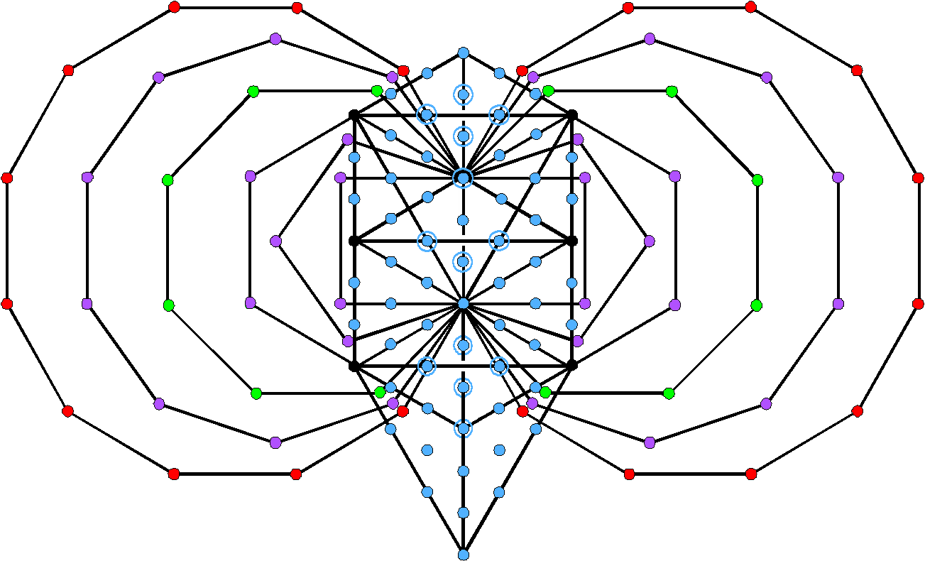 (8+62) division in inner Tree of Life