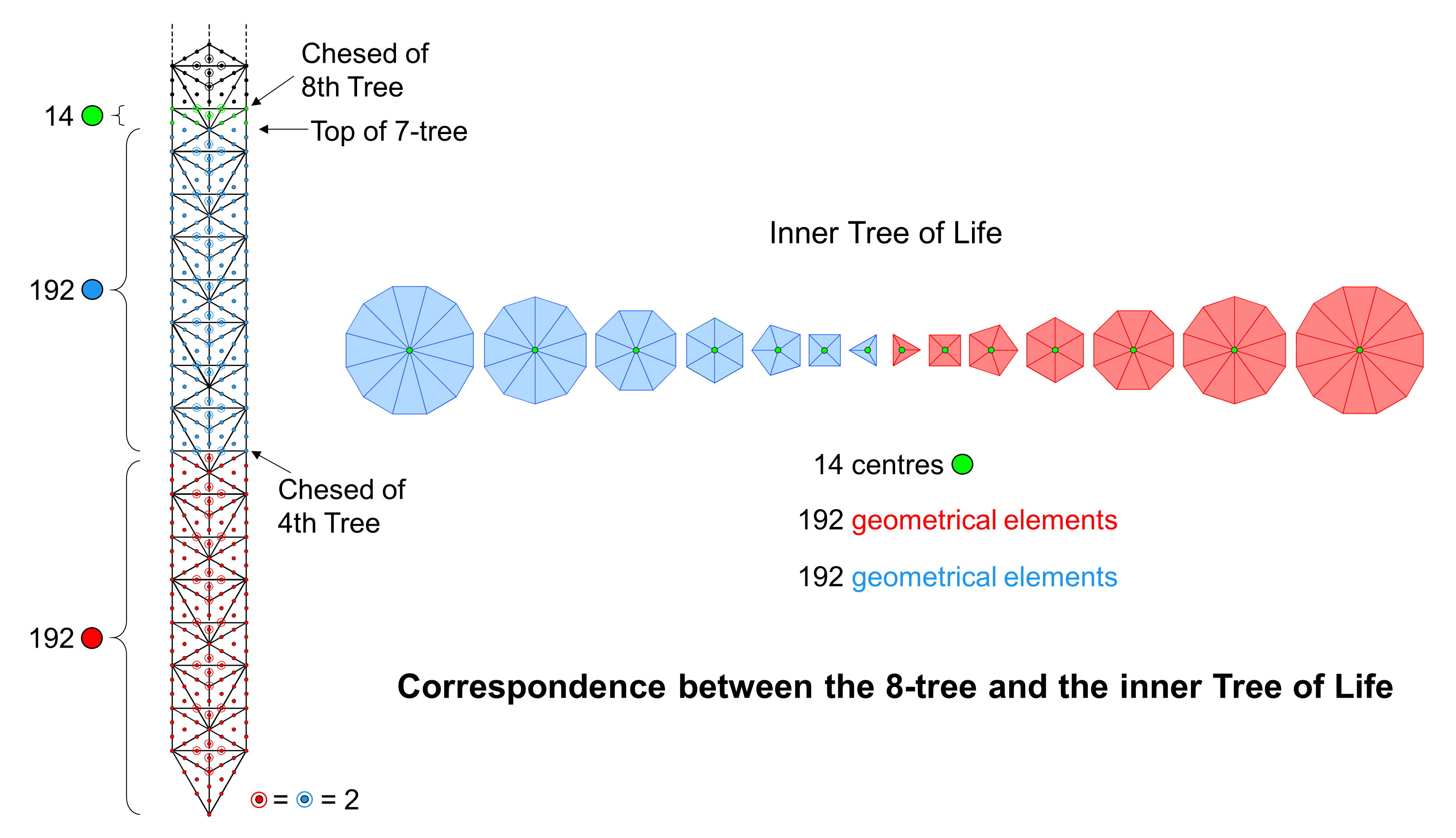 Isomorphism between the 8-tree and the inner Tree of Life