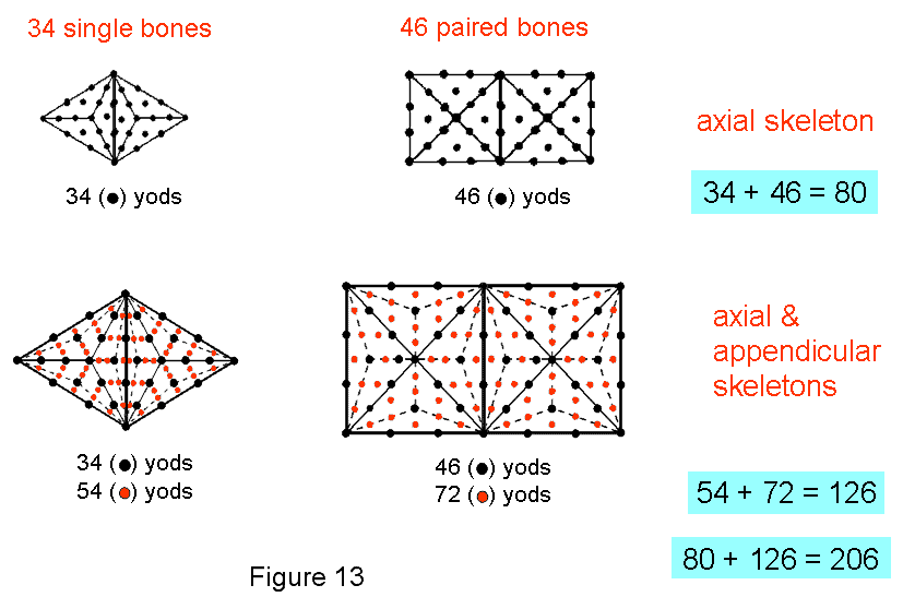 (80+126) yods in triangle & square