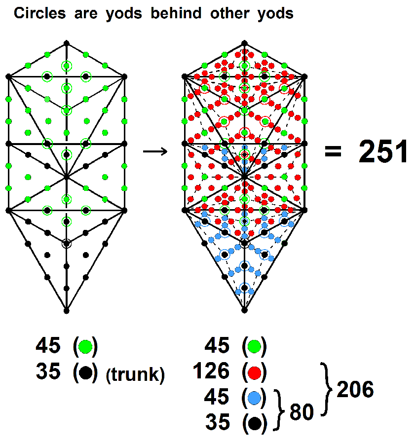 The 80 yods in the trunk of the Tree of Life