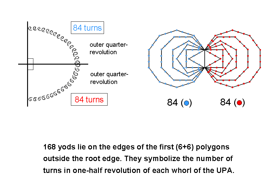 168 yods on sides of first (6+6) enfolded polygons