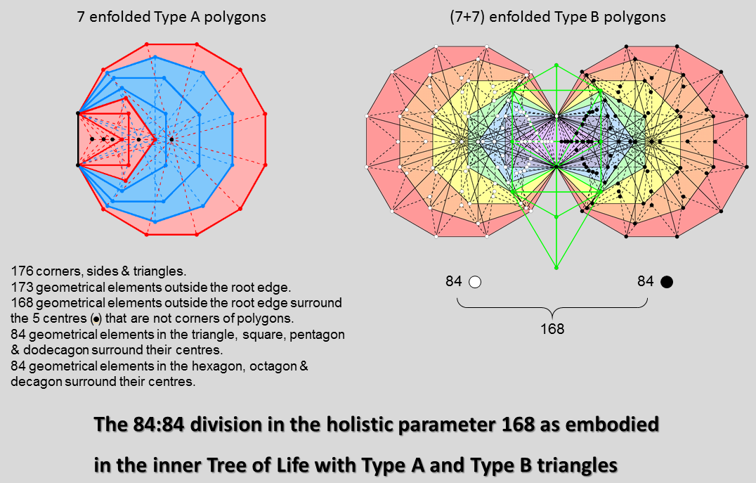 84:84 division in inner Tree with Type A and Type B polygons