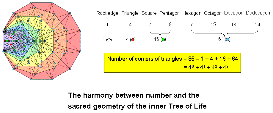 85 corners of triangles in 7 enfolded Type B polygons