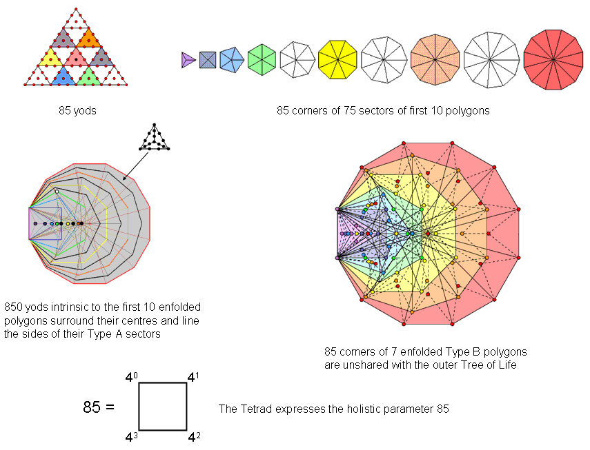 850 intrinsic boundary yods surround the centres of the first 10 enfolded polygons