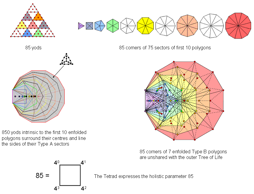 850 intrinsic boundary yods surround centres of first 10 enfolded polygons