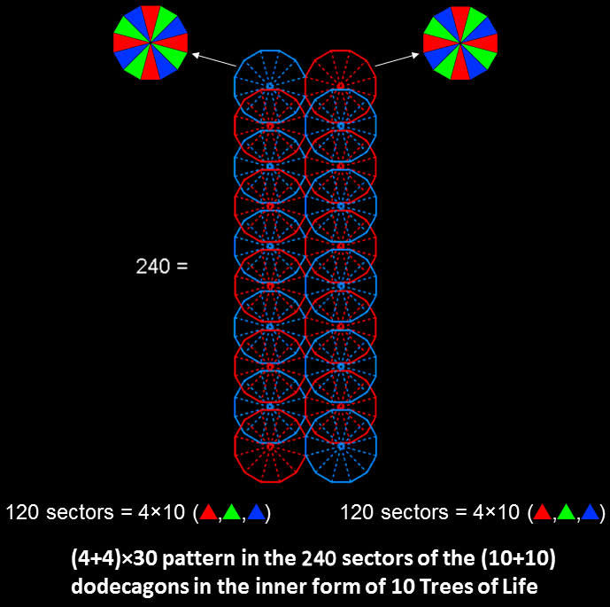 8x30 pattern in sectors of dodecagons enfolded in 10 Trees of Life