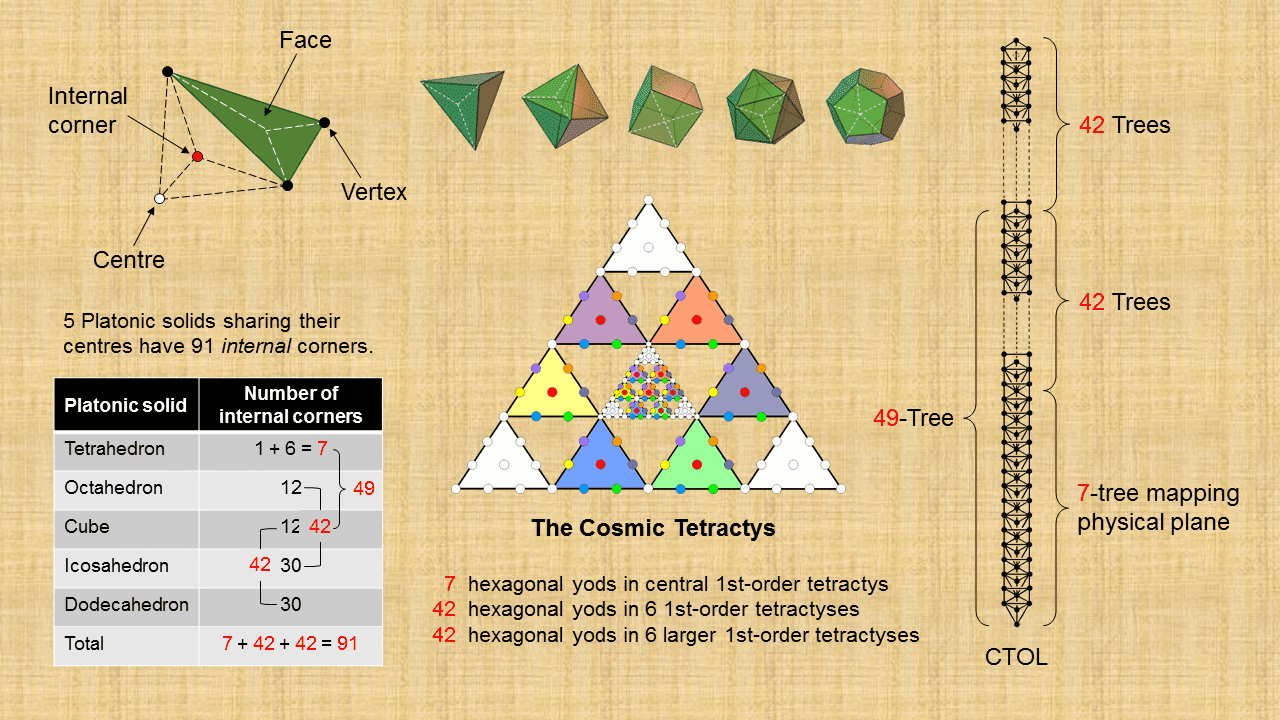 Sectors of Type A triangles inside 5 Platonic solids have 91 corners