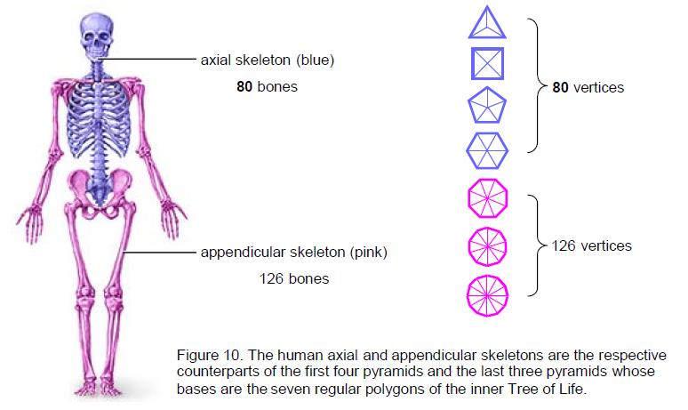 fig10