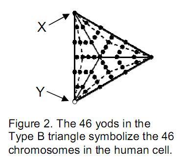 fig2