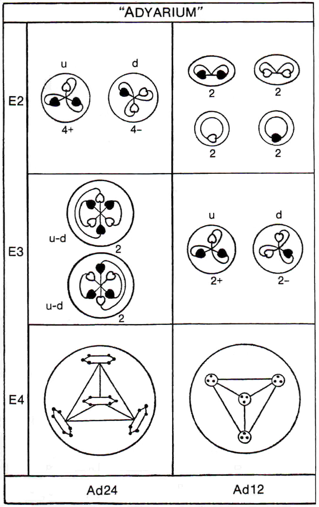 Adyarium disintegration diagram