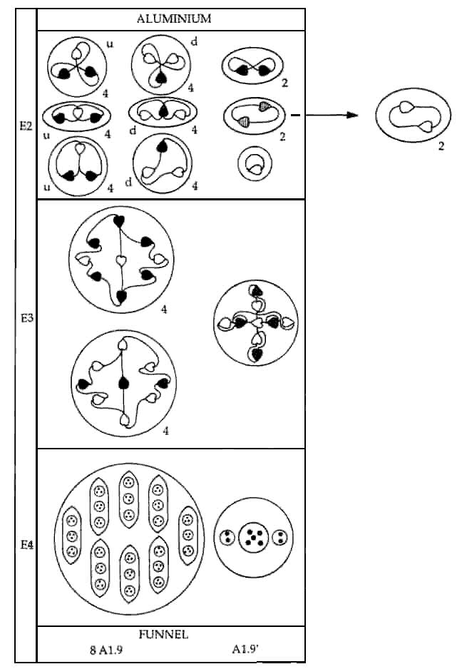 Aluminium MPA disintegration diagram