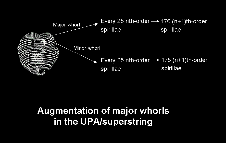 Augmentation of major whorls