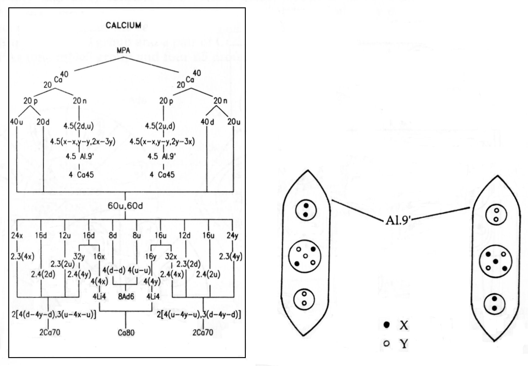 Calcium MPA analysis