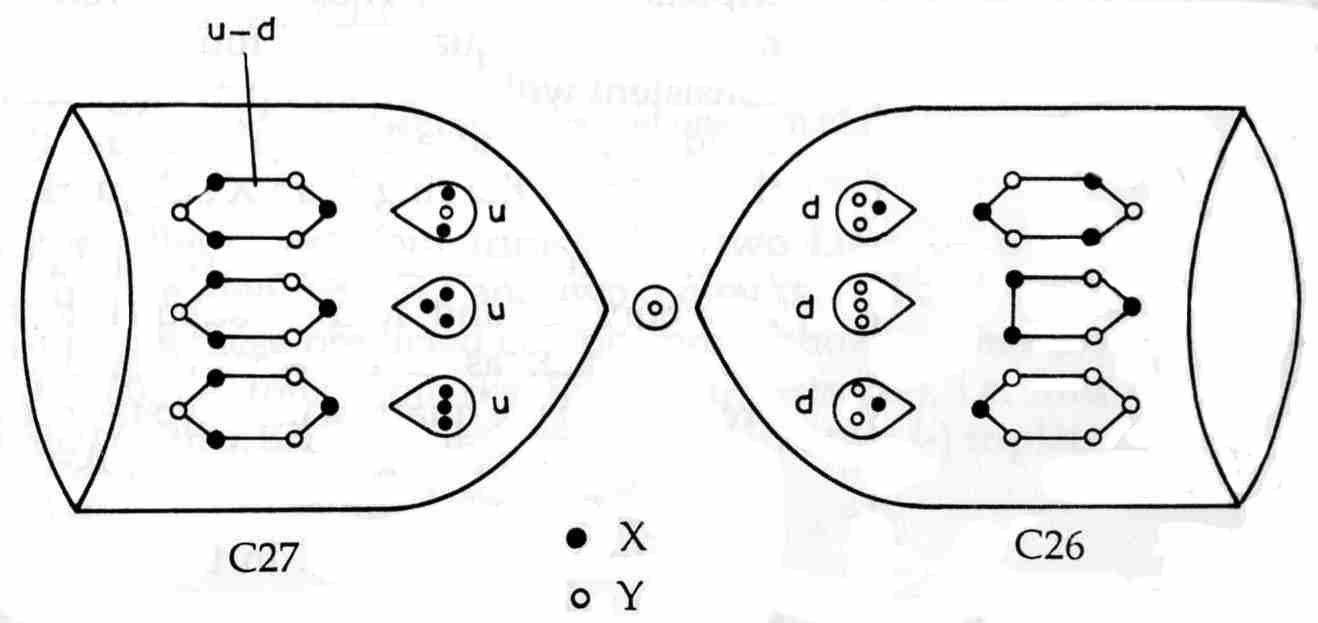 Composition of pair of funnels in carbon MPA