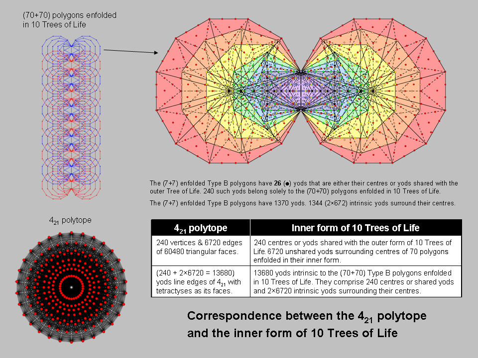 Comparison of inner form of 10 Trees and 421 polytope