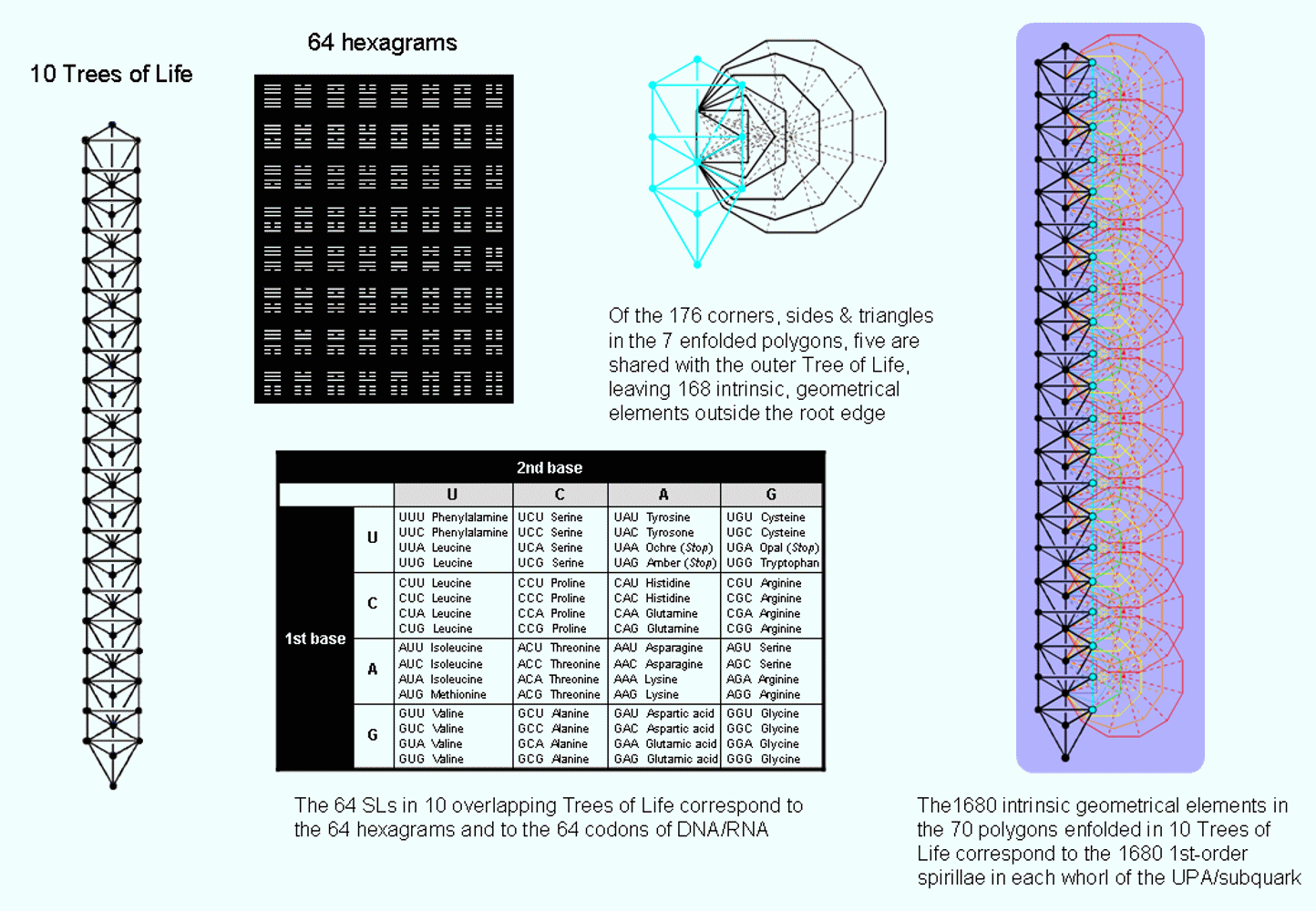 10 Trees of Life embody codon pattern in RNA & superstring structure