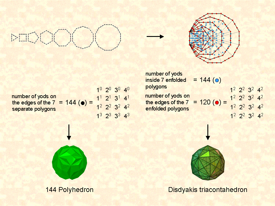 Connection between polygonal & polyhedral Trees of Life