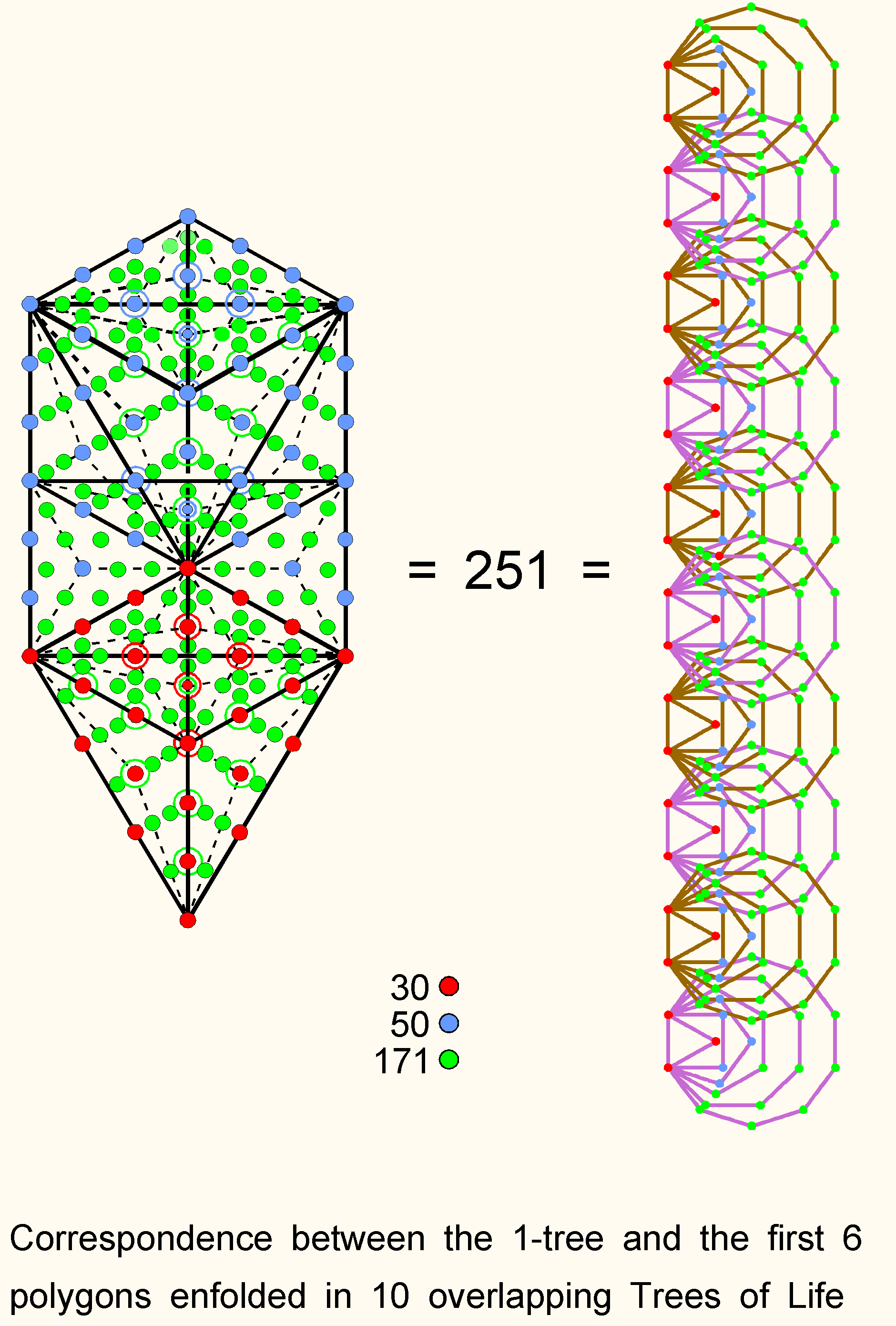 Correspondence between 1-tree & 1st 6 polygons enfolded in 10-tree